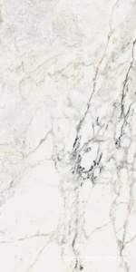 AE PAO6 12 LP |60x120