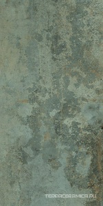 Rusty Metal Moss Luxglass 60x120 Rec.