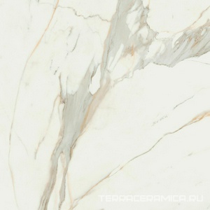 Calacata Gold leviglass 120x120 Rec.