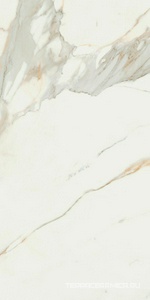 Calacata Gold leviglass 60x120 Rec.