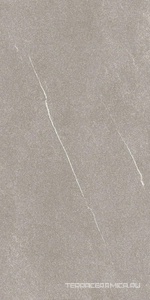 Brushed Light  Matte 6mm  ZZ 60x120