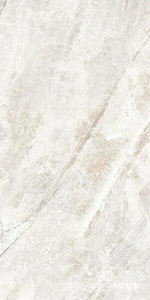 Reims светло-серая 60x120 ZZ