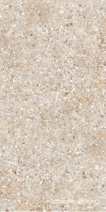 Treviso серая 60x120 ZZ