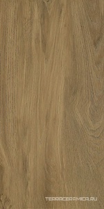 Плитка Каменный сад дерево 31.5x63