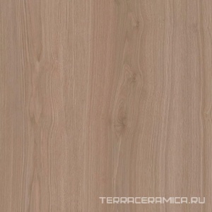Альберони коричневый светлый матовый обрезной 60x60