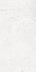Керамогранит NL00 полированный рект. ZZ 60x120