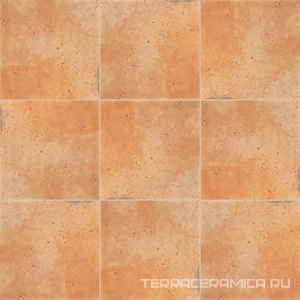 Barro Ocre ZZ |20x20