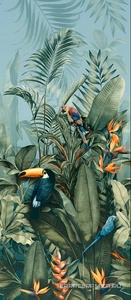 Carioco A (TUCANO) ZZ 120x278
