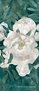 Peonia A ZZ 120x278