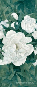 Peonia B ZZ 120x278