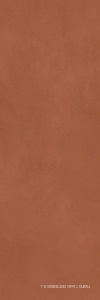 Calce Terracotta 3,5  ZZ 100x300