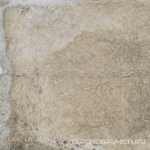 Sugar Cane ZZ 20x20