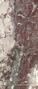 Breccia Viola pol ZZ 120x278