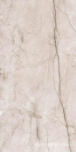 New Tone Pol. 60x120