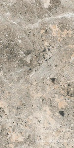 Alaska Grey Pol. 60x120