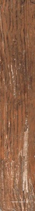 Kiwi Redroot Mat 20x120