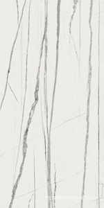Daren Blanc Pulido ZZ 60x120