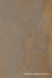 Enrich Brown (Rustin) 2 cm (от 300 кв.м)  ZZ 60x90