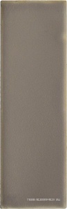 Chalk Fossil 4x12.5