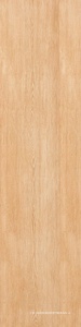 Rovere Naturale Nat. ZZ 30x120