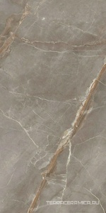 Collemandina Polished 150x300