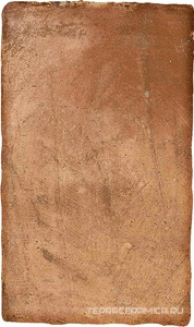 Cotto nat |30x50