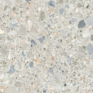 Antic Pietra Di Gre Multi 120x120