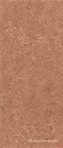 Подступенок Аллея кирпичный |9.6x30