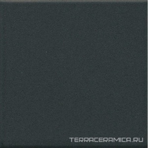 Агуста черный натуральный |9,8х9,8