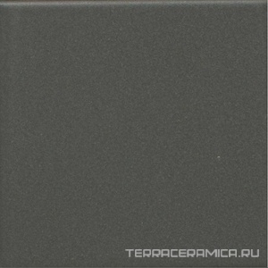 Агуста серый темный натуральный |9,8х9,8
