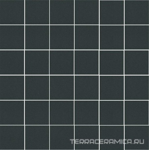 Агуста черный натуральный |30,1х30,1