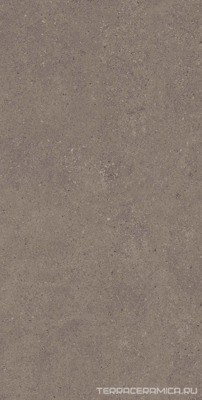 Спенс CE04 60x120x9 Структур.Рект.