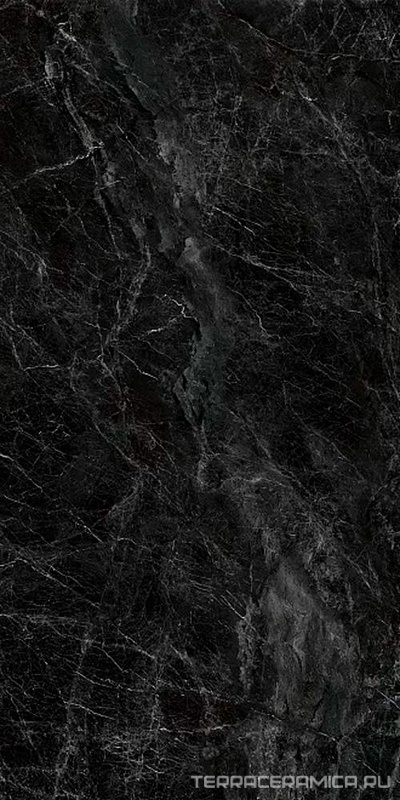 Риальто серый темный обрезной |60x119,5
