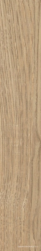 Base Natural Lisco |19.5x120