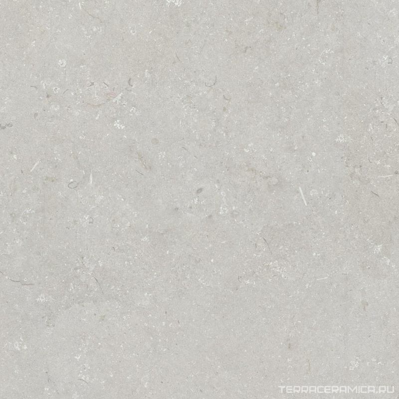 Shellstone Bianco 120x120
