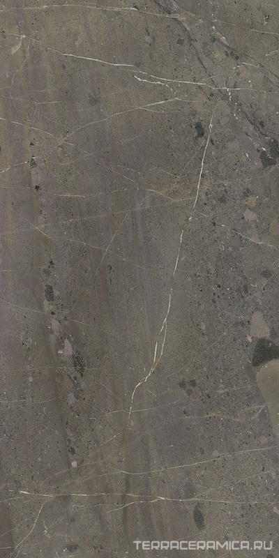 Марсель коричневый глянцевый обрезной 60x119,5x0,9