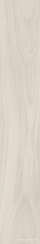 Монтиони миндальный матовый обрезной 20x119.5