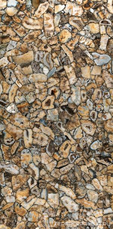Agata Atena Lucidato (Shiny) 6 mm 150x300