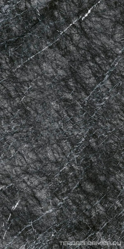 Grigio Carnico Lucidato (Shiny) 6 mm |150x300