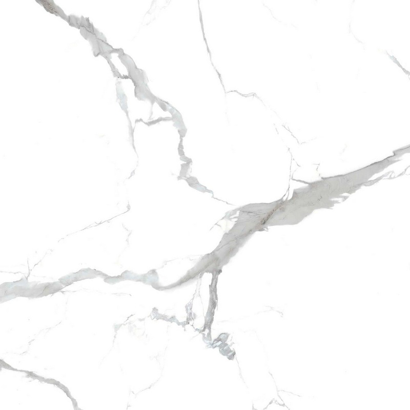 Calacata grey 80x80
