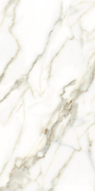 Carrara white 60x120