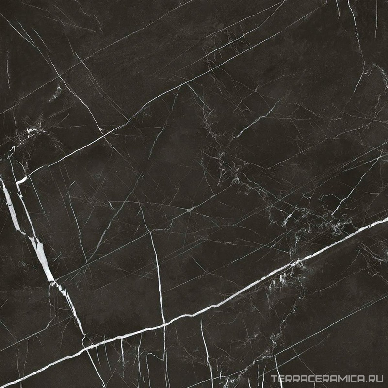 Royal black 60x60