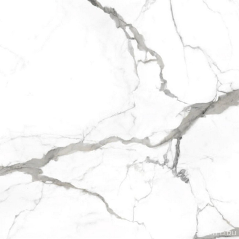 Calacatta grey 60x60