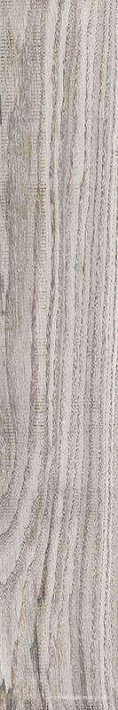 Living Tortora |7.5x45