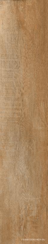 GreenWood Noce|24x120