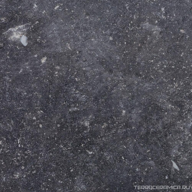 Ardenne Nero 20x20