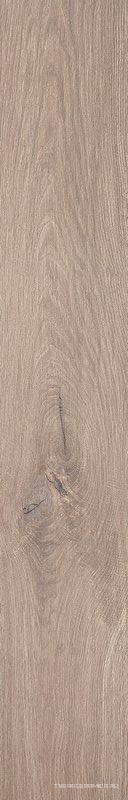 Roots Taupe OUT  ZZ 20x120