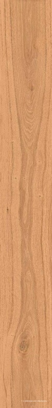 Rive Acqua Riva 20x160 Rettificato / Риве Аква Рива 20x160 Рет