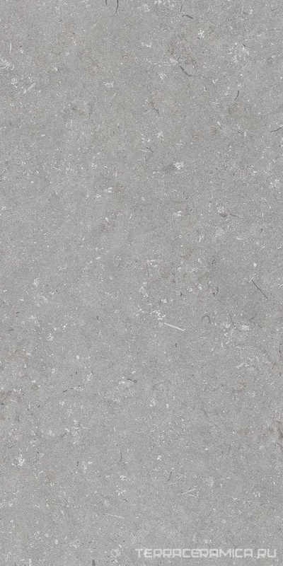 Shellstone Grigio 60x120