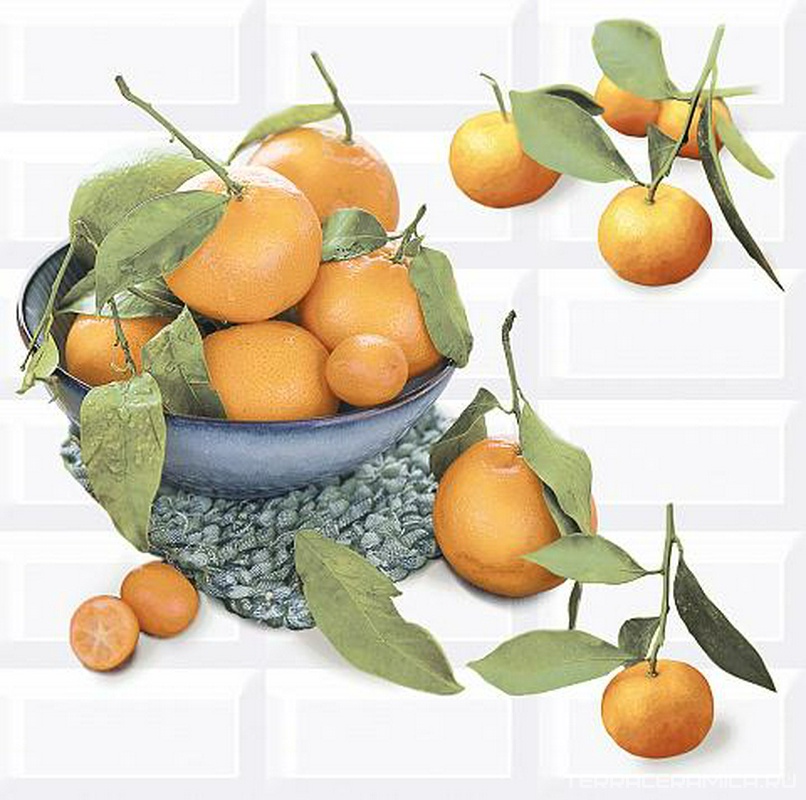 Панно VOGUE Citrus 2 40,5х40,2